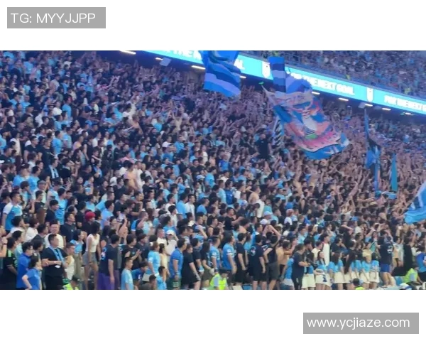 中甲直播足球比赛地点全攻略让你不错过每一场精彩赛事